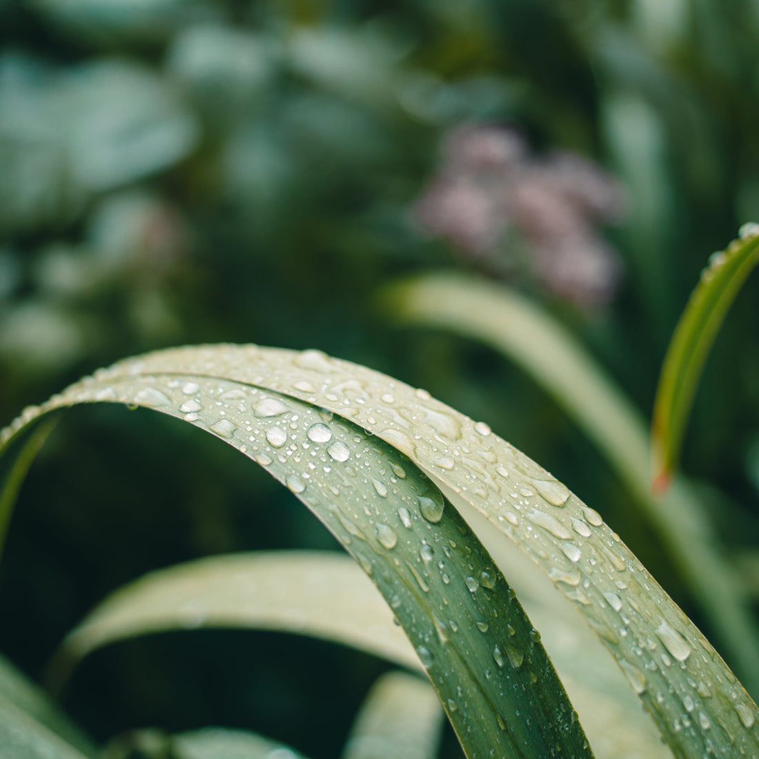 Sustainability